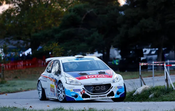 Поворот, Peugeot, Rally, 208, ERC, t16