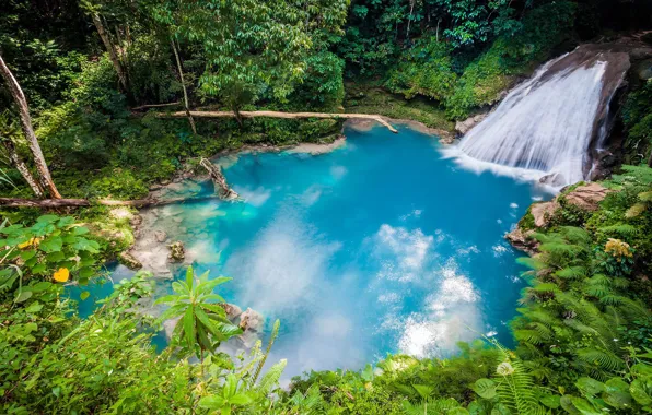 Лес, природа, река, водопад