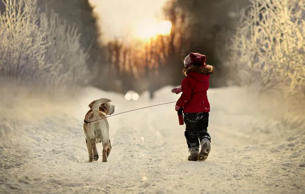 Картинка зима, дорога, снег, деревья, природа, ребенок, собака