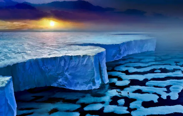 Картинка лед, море, закат, стена, животное, человек, олень, льды