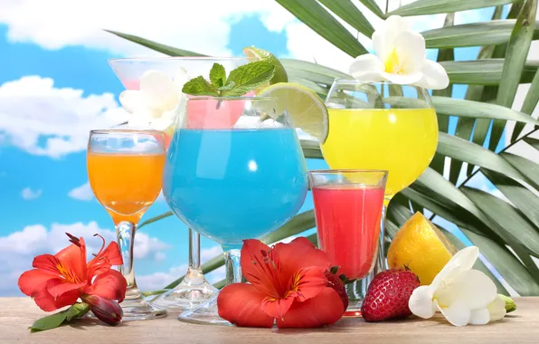 Море, коктейль, фрукты, fresh, drink, cocktail, fruits, tropical