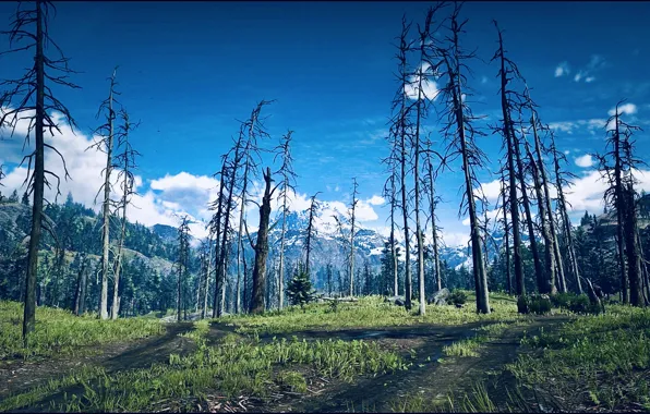 HDR, Clouds, Sky, Wood, Mountain, Game, Trees, UHD