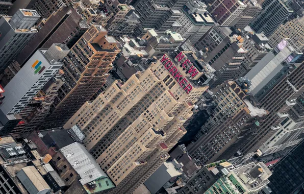 USA, Manhattan, new york, New Yorker