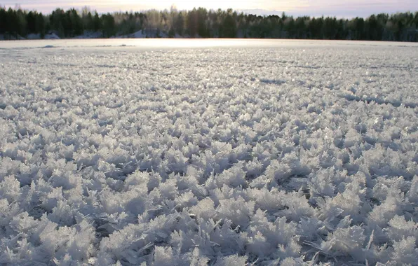 Зима, Снег, Пейзаж