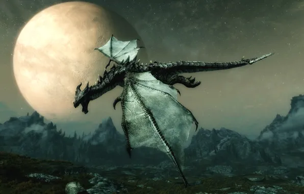 Dragon, Skyrim, TES