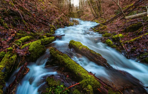 Осень, ручей, берег, водопад, мох, речка, брёвна