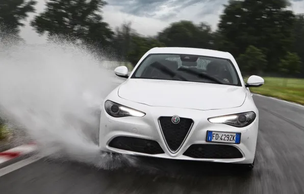 Картинка Белый, Лужа, Alfa Romeo, Альфа Ромео, Giulia, Фас