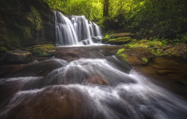 Лес, река, водопад, каскад, Tennessee, Теннесси, Great Smoky Mountains National Park