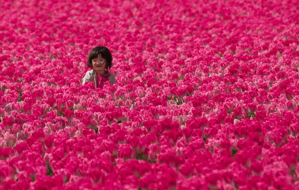 Картинка поле, девочка, тюльпаны
