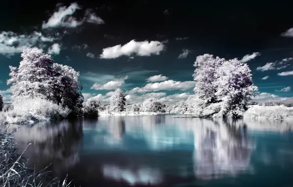 Картинка вода, облака, снег, деревья