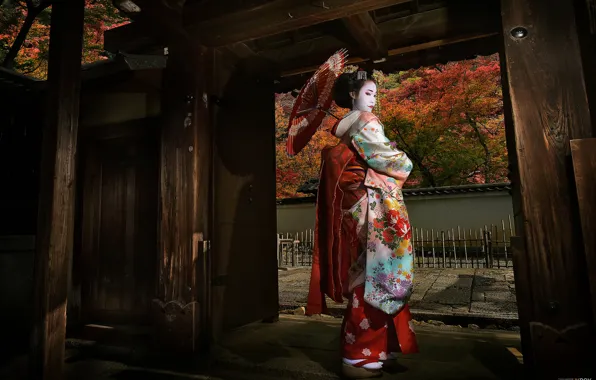 Картинка девушка, Япония, гейша