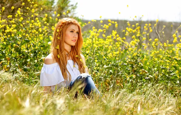 Поле, взгляд, девушка, цветы, джинсы, косички, рыжая, Katherine McNamara