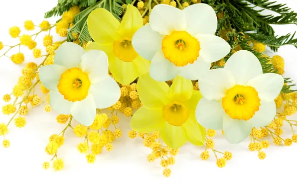 Картинка белый, цветы, желтый, весна, white, yellow, flowers, нарциссы