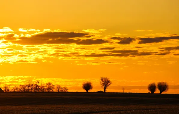 Поле, дом, утро, коса, house, field, morning, ферма