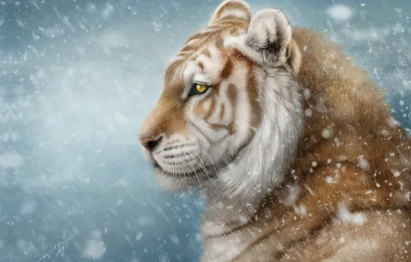 Зима, снег, тигр, арт, AlenaEkaterinburg