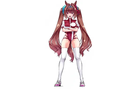 Girl, sexy, thighhighs, long hair, brown hair, animal ears, anime, beautiful