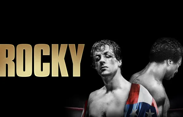 Бокс, rocky, бокс.спорт, rocky balboa