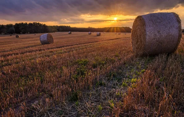 Поле, солнце, пейзаж, природа, красота, сено, тюк