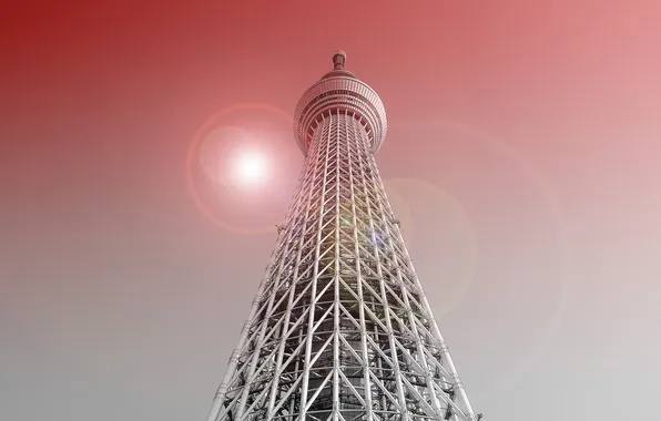 Город, башня, Tokyo
