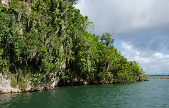 Картинка Национальный парк, Доминиканская Республика, National Park, Самана, Samana, Dominican Respublic, Los Haitises