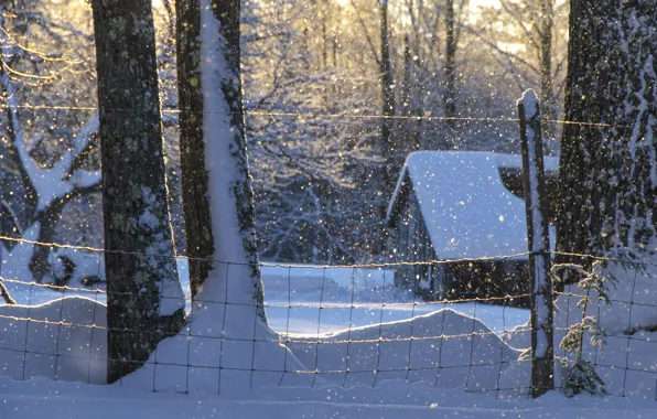 Картинка зима, снег, деревья, дом, сугробы, Maine, Мэн, Новая Англия
