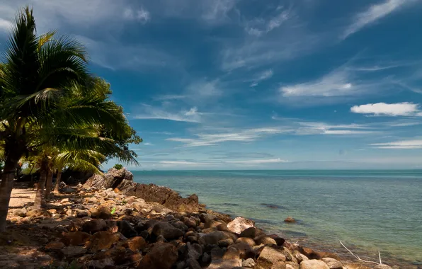 Картинка море, пляж, небо, камни, пальмы, Океан, Тайланд, Thailand