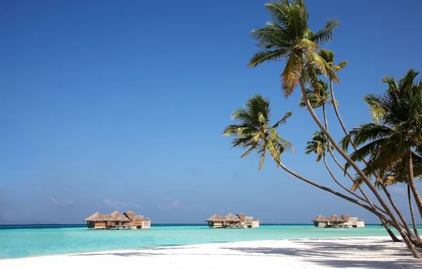Пляж, пальмы, океан, экзотика, бунгало, ocean, белый песок, resort