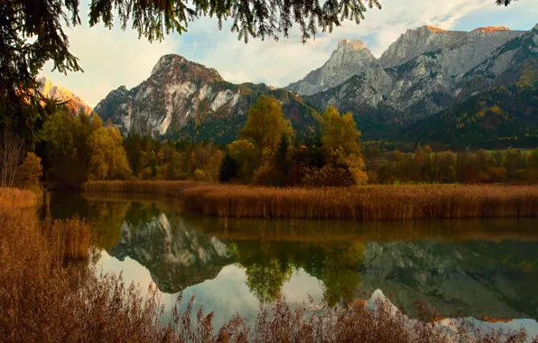 Осень, лес, горы, природа, река