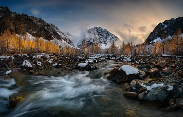 Лес, горы, природа, река