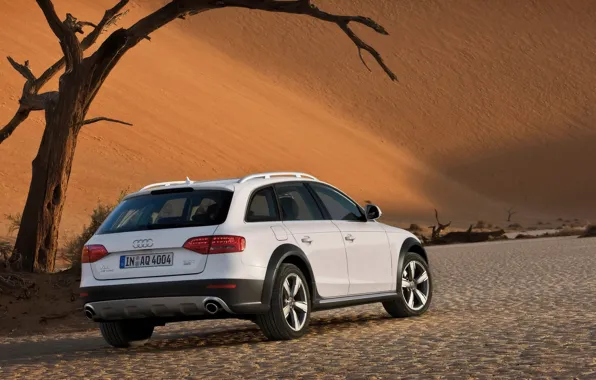 Белый, Audi, пустыня, Allroad