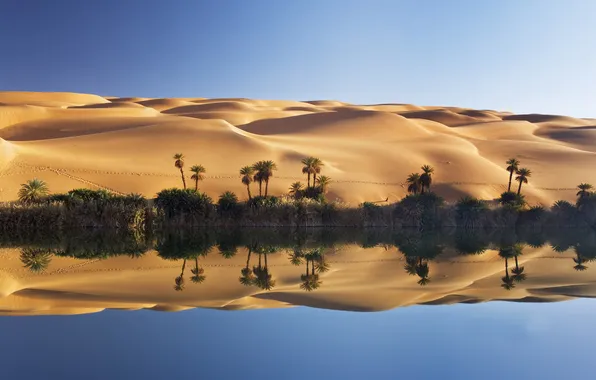 Картинка песок, озеро, пальмы, пустыня, дюны, оазис, Ливия, Сахара