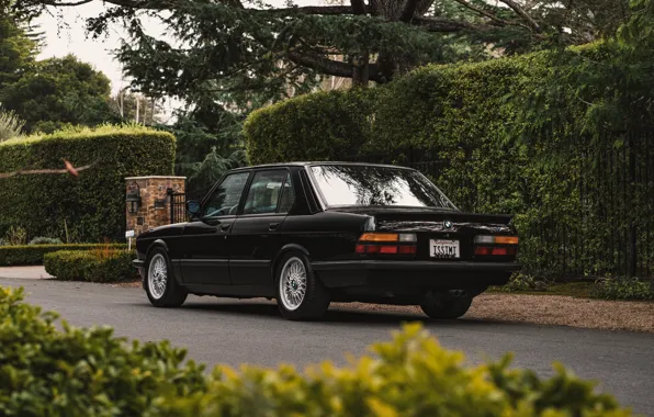 Картинка BMW, E28, 1988, M5