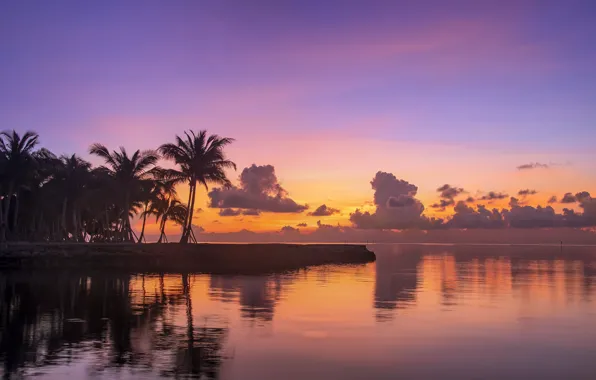 Картинка море, пальмы, океан, рассвет, утро, Флорида