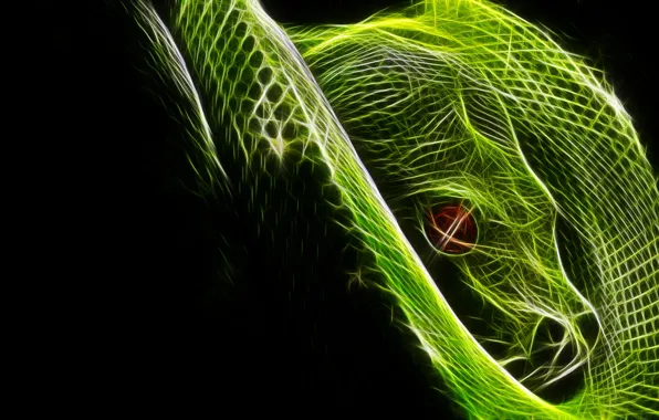 Animal, fractal, serpent, fractal art