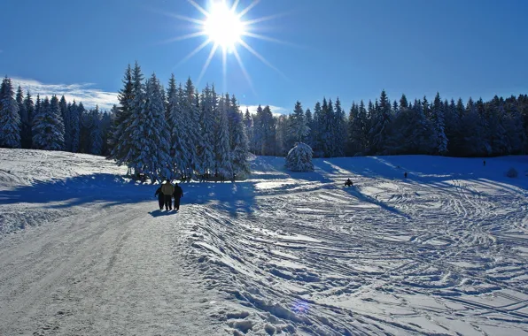 Winter, snow, cold