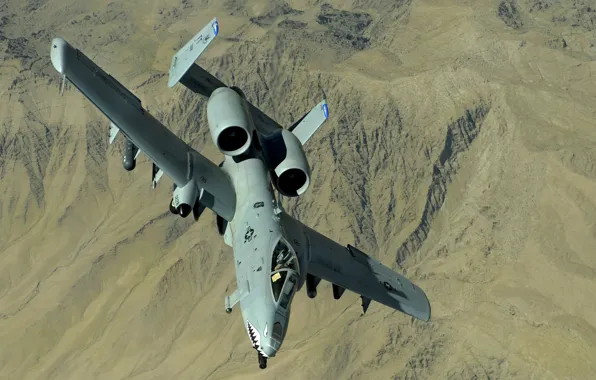 Aircraft, flying, shark, fang, rocket, Thunderbolt II, A-10 Thunderbolt II, machine guns