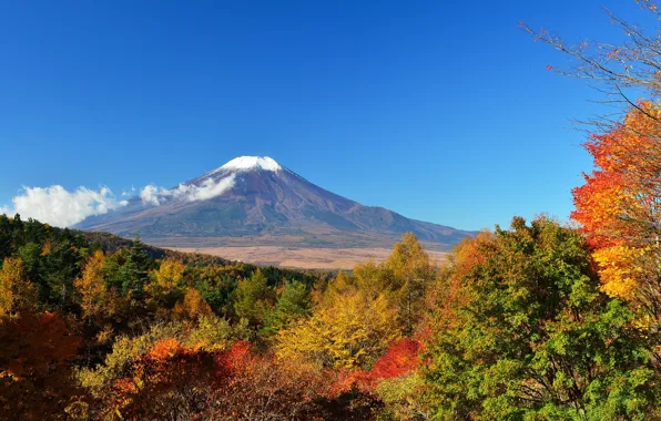 Картинка осень, небо, листья, деревья, Япония, гора Фудзияма