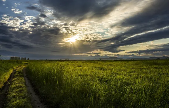 Картинка поле, закат, природа