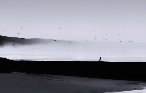 Картинка море, пейзаж, птицы, туман, человек, минимализм