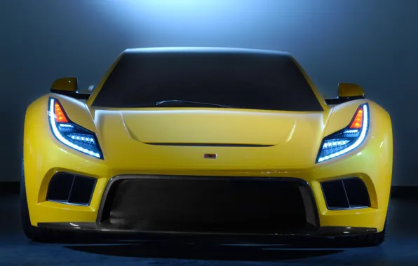 Concept, 2008, Saleen, вид спереди, Raptor, S5S