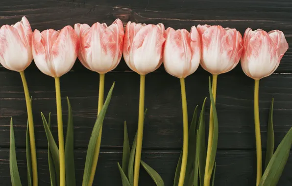 Цветы, букет, тюльпаны, розовые, wood, pink, flowers, tulips