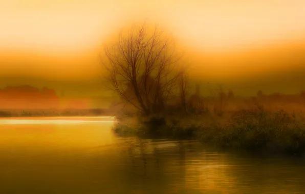 Картинка небо, туман, озеро, дерево, вечер