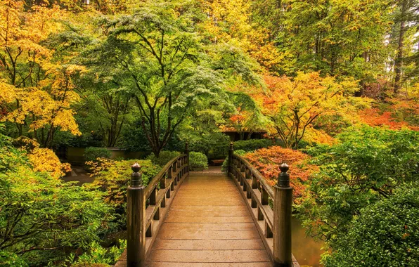 Осень, мост, парк, © JAY HUANG