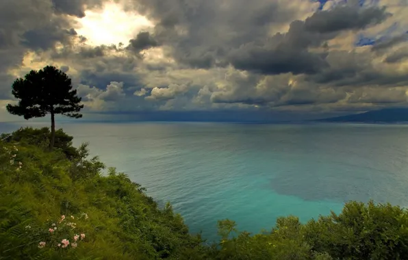 Картинка облака, дерево, побережье, Италия, Italy, Неаполитанский залив, Golfo di Napoli