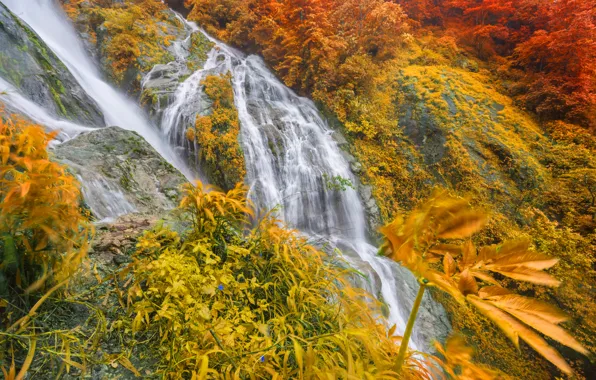 Осень, пейзаж, природа, скалы, берег, растительность, водопад