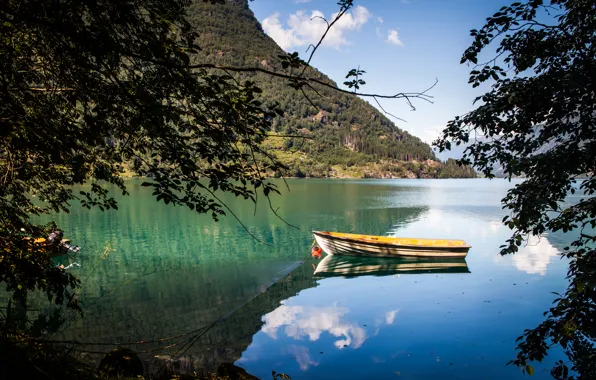 Картинка озеро, ветви, лодка, водоем, photo, photographer, Andrés Nieto Porras