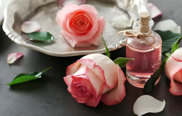 Картинка духи, лепестки, rose, pink, petals, розовые розы, spa, oil