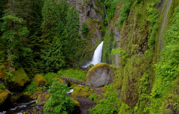 Картинка мост, река, скалы, растительность, водопад, Oregon, Wahclella Falls