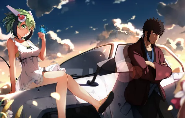 Девушка, бабочка, парень, киборг, автомобиль, anime, art, Dimension W