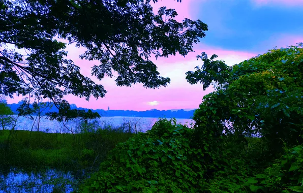 Clouds, Sky, Grass, Water, Sunrise, Dawn, Morning, Lake